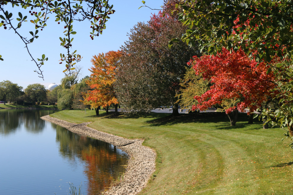 Idee per un ampio laghetto da giardino classico esposto in pieno sole in autunno