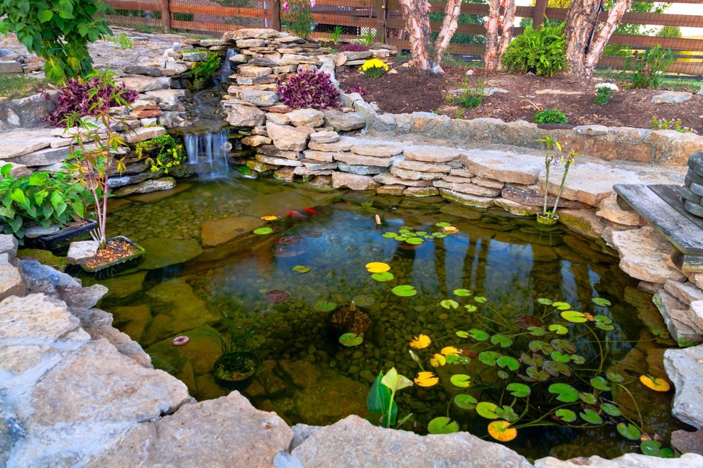 Imagen de jardín clásico con estanque