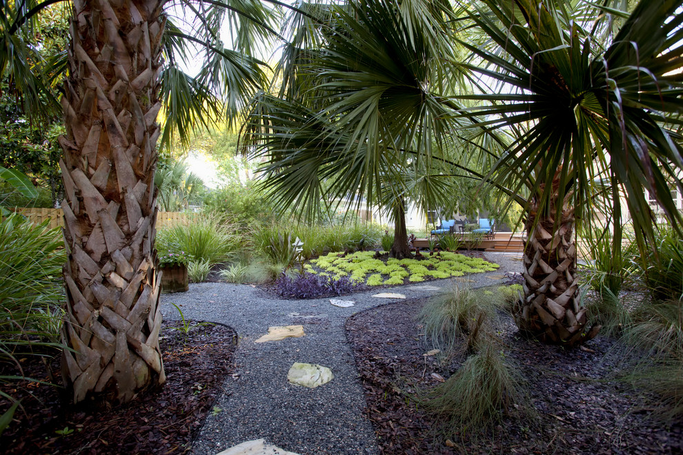 Foto di un giardino tropicale esposto a mezz'ombra di medie dimensioni e dietro casa con ghiaia