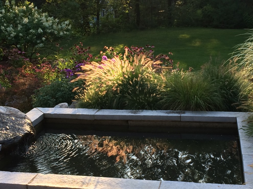 Idées déco pour un petit jardin arrière moderne l'été avec un point d'eau, une exposition ensoleillée et des pavés en pierre naturelle.