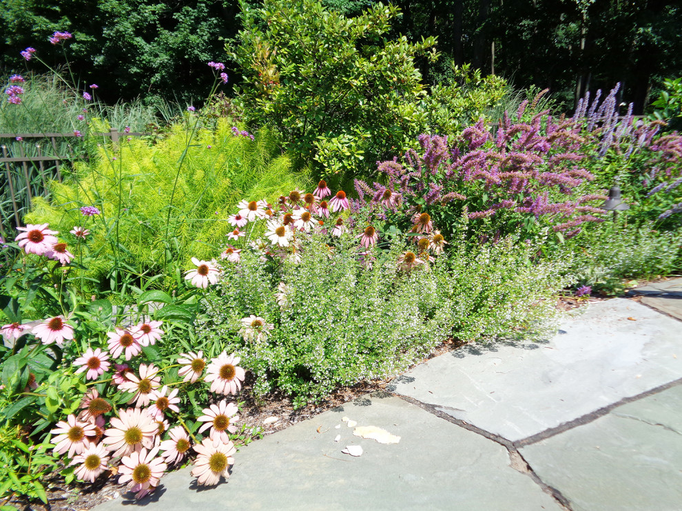 Immagine di un giardino minimal esposto in pieno sole di medie dimensioni e dietro casa in estate con pavimentazioni in pietra naturale