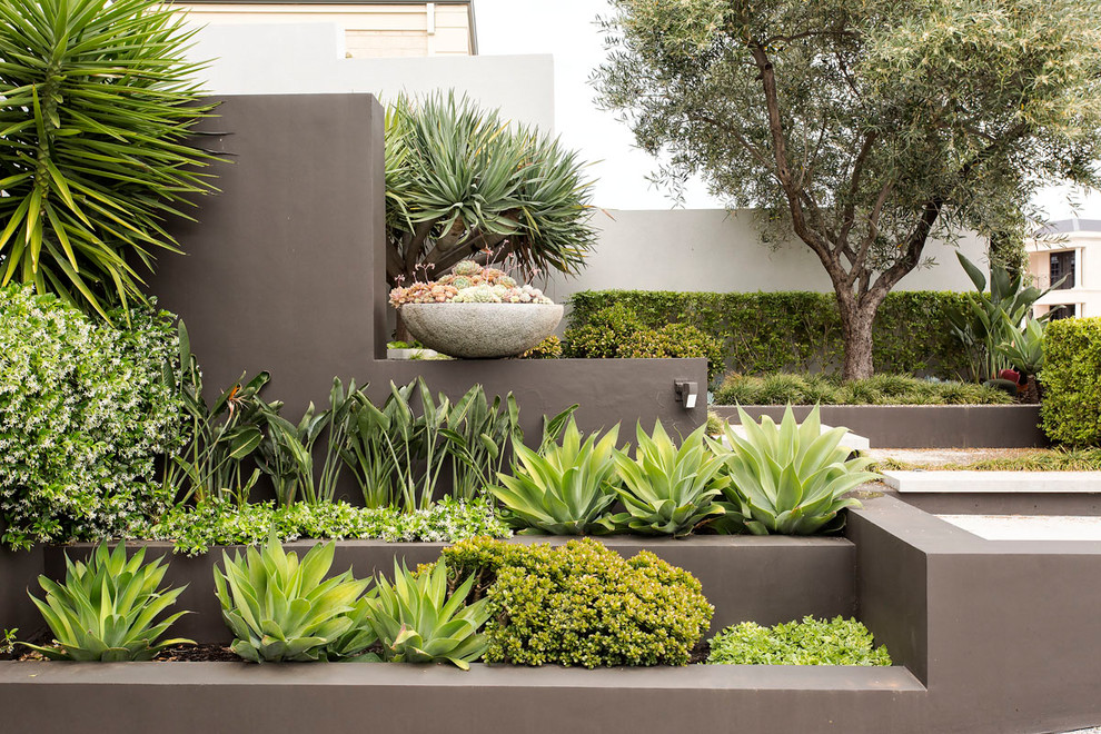 Geometrischer, Mittelgroßer Moderner Vorgarten mit Kübelpflanzen und direkter Sonneneinstrahlung in Orange County