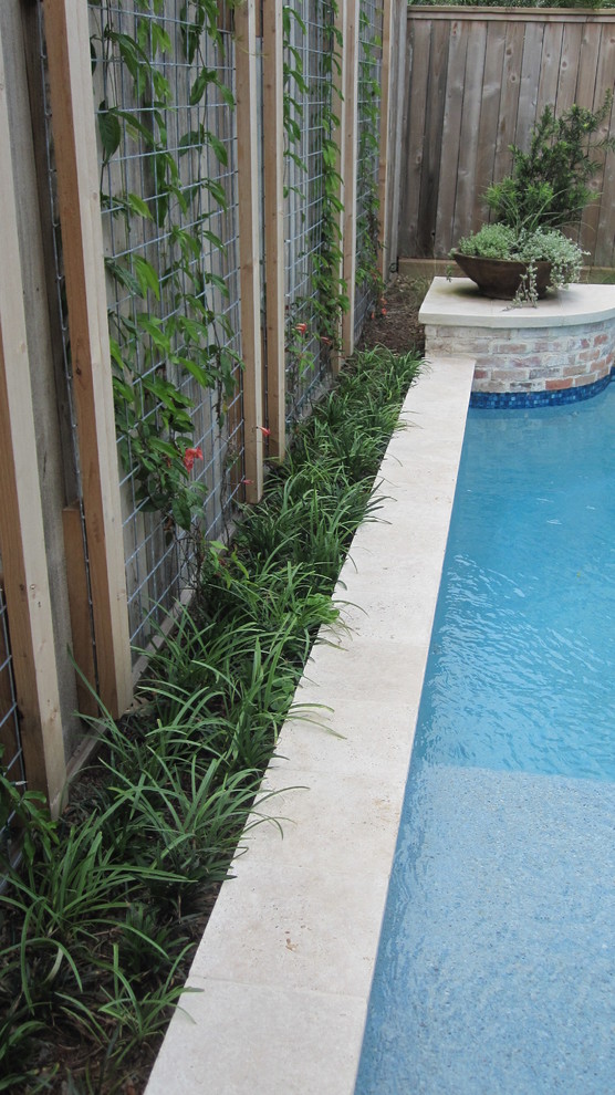 ヒューストンにあるコンテンポラリースタイルのおしゃれな庭の写真