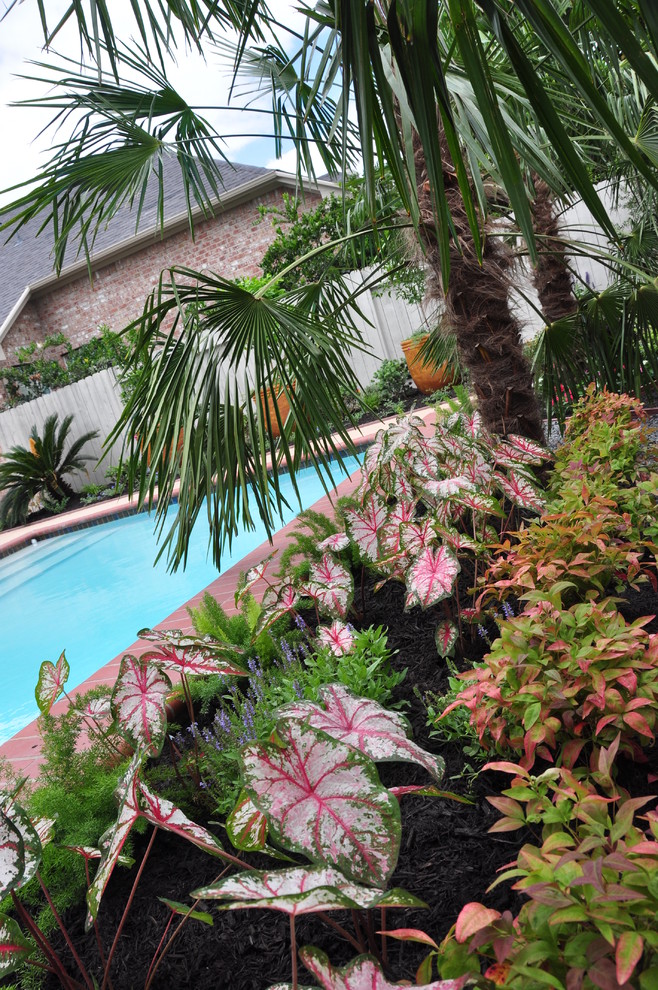 Design ideas for a tropical landscaping in Houston.