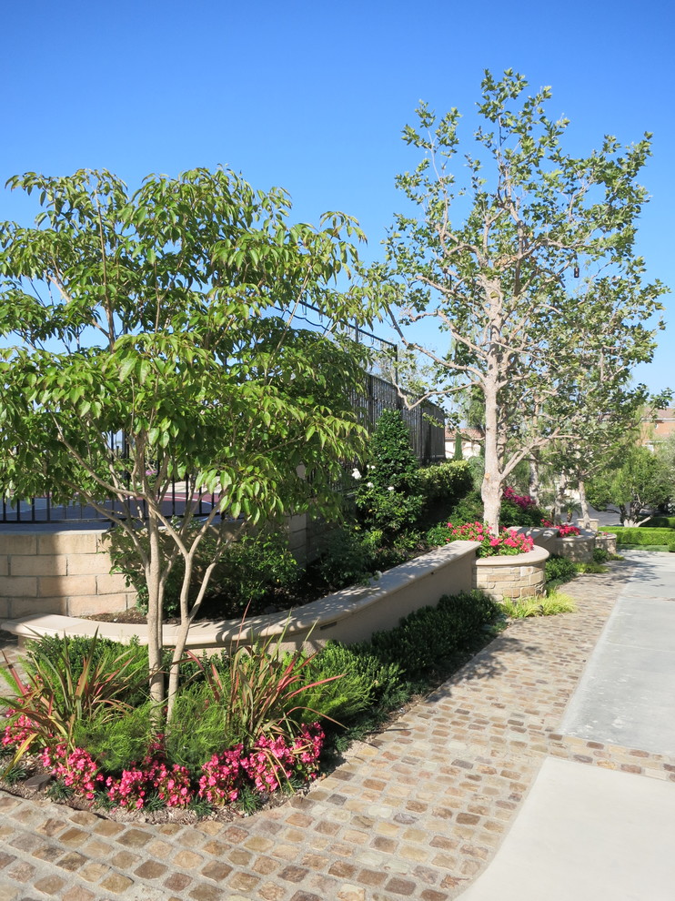 Ejemplo de acceso privado contemporáneo de tamaño medio en verano en patio delantero con jardín de macetas, exposición total al sol y adoquines de ladrillo