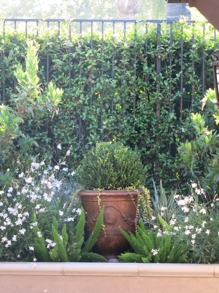 Aménagement d'un jardin en pots latéral contemporain de taille moyenne et l'été avec une exposition partiellement ombragée et un paillis.