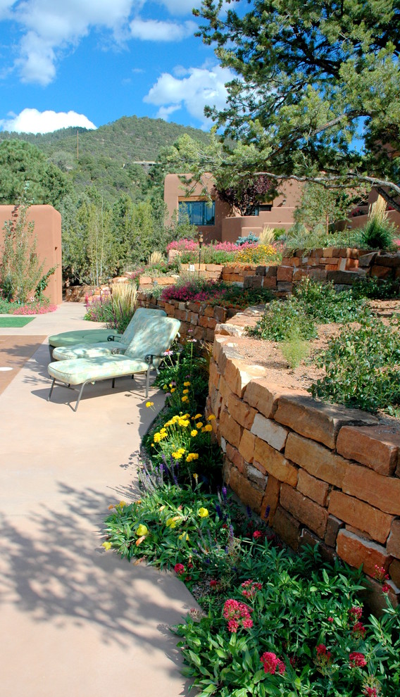 Idée de décoration pour un jardin arrière sud-ouest américain de taille moyenne et l'été avec une exposition ensoleillée.