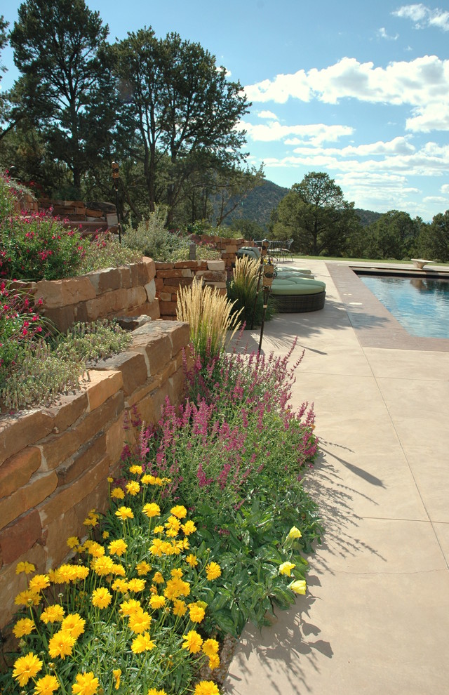 Mittelgroßer Mediterraner Garten im Sommer, hinter dem Haus mit direkter Sonneneinstrahlung in Albuquerque