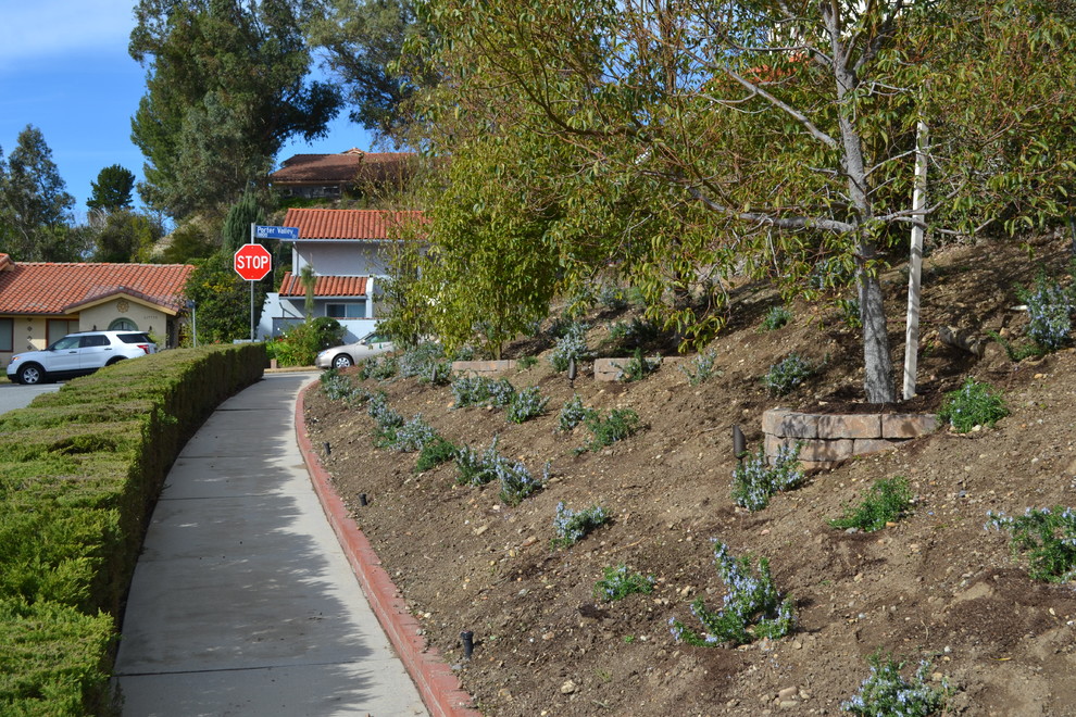 Porter Ranch Classic Transitional Landscape Los Angeles by Ken
