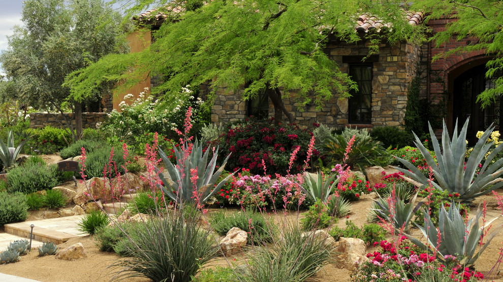 Photo of a mediterranean front yard landscaping in Las Vegas.
