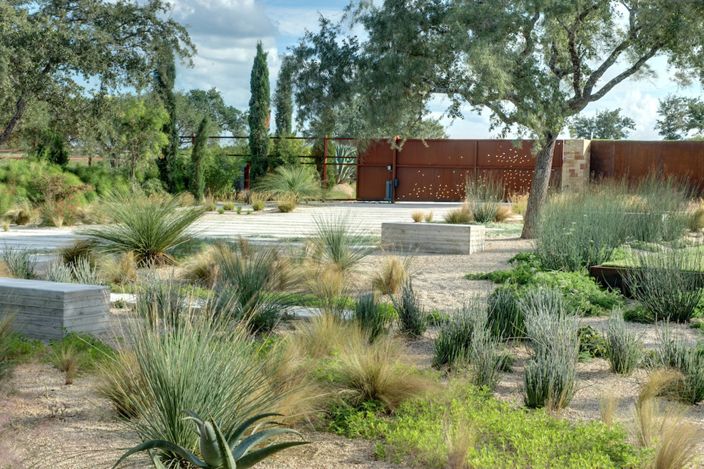 Design ideas for a back xeriscape garden in Austin.
