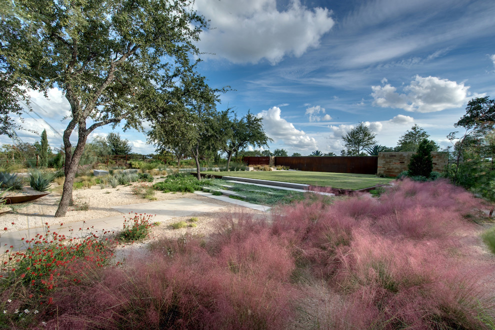 Design ideas for a modern garden in Austin.