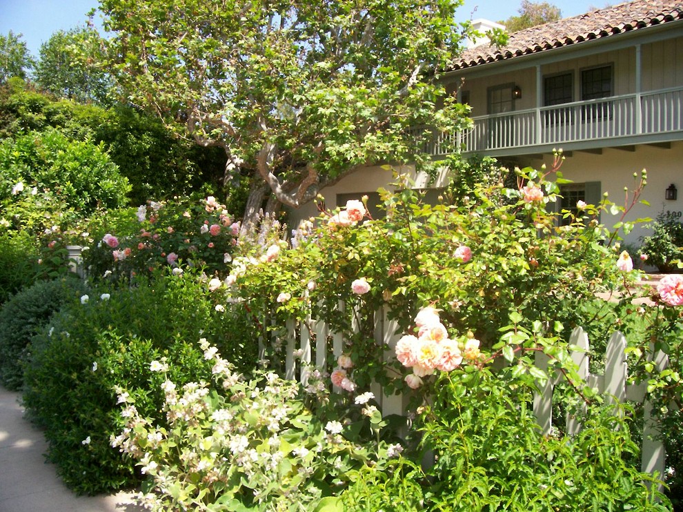 Immagine di un giardino mediterraneo davanti casa