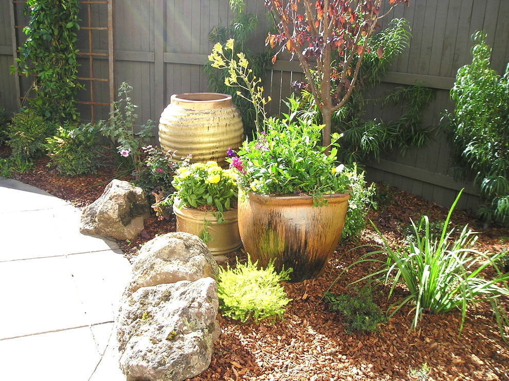 Imagen de jardín bohemio en patio trasero con exposición total al sol