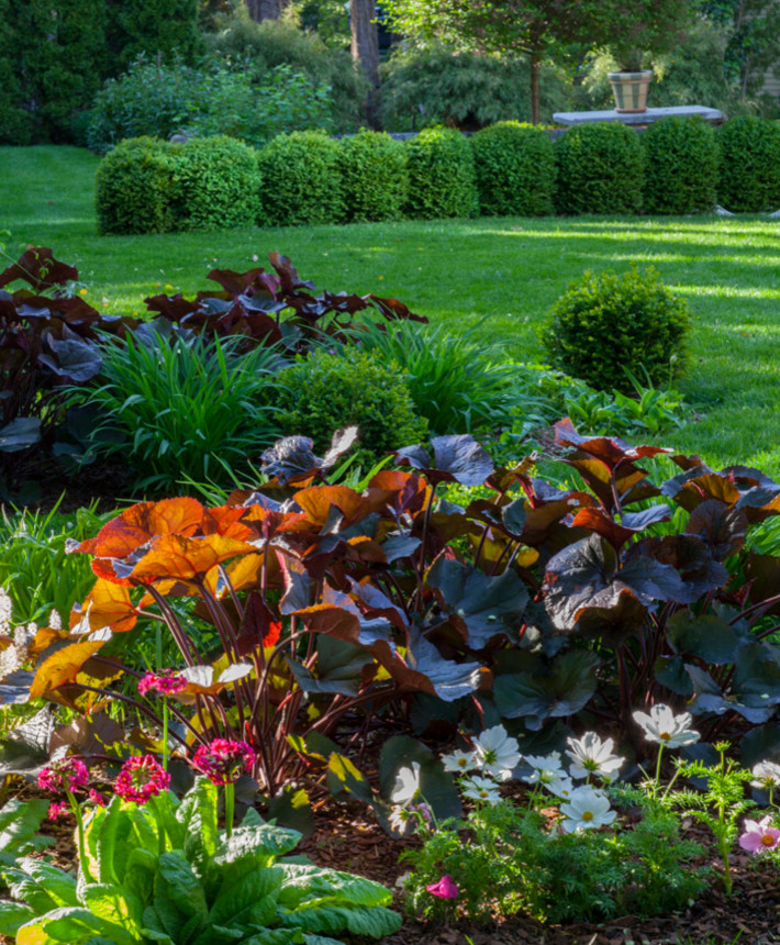 Immagine di un giardino contemporaneo esposto a mezz'ombra di medie dimensioni e dietro casa