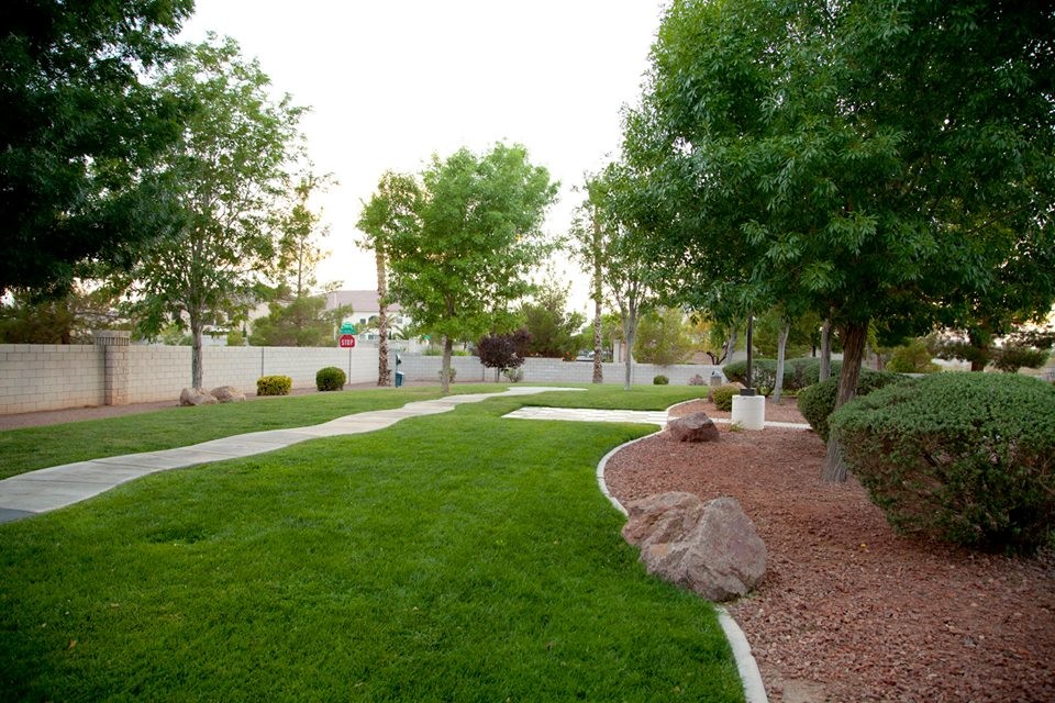 Mittelgroßer Klassischer Garten hinter dem Haus mit Mulch in Las Vegas