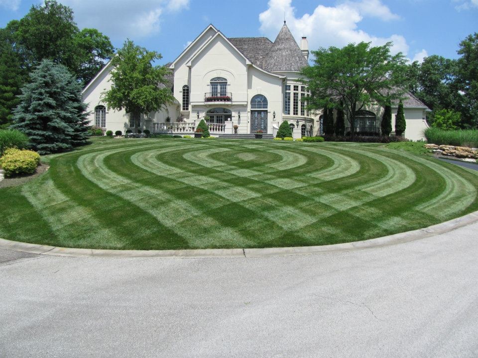 Design ideas for a traditional front yard driveway in St Louis.