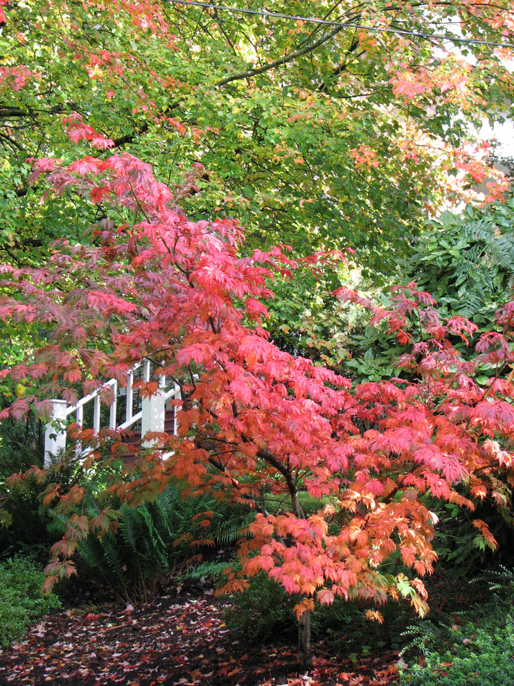 Halbschattiger Klassischer Garten im Herbst in Portland