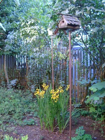 Kleiner, Halbschattiger Rustikaler Garten im Frühling, neben dem Haus in Portland