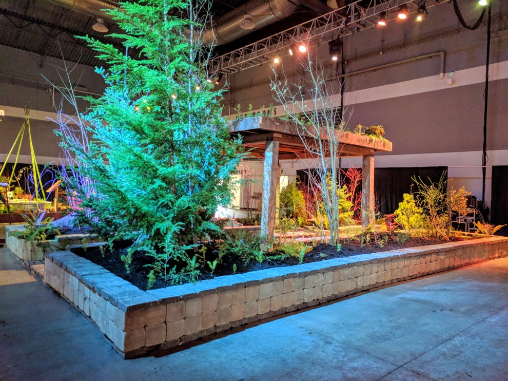 Kleiner, Halbschattiger Asiatischer Garten im Winter mit Betonboden in Portland