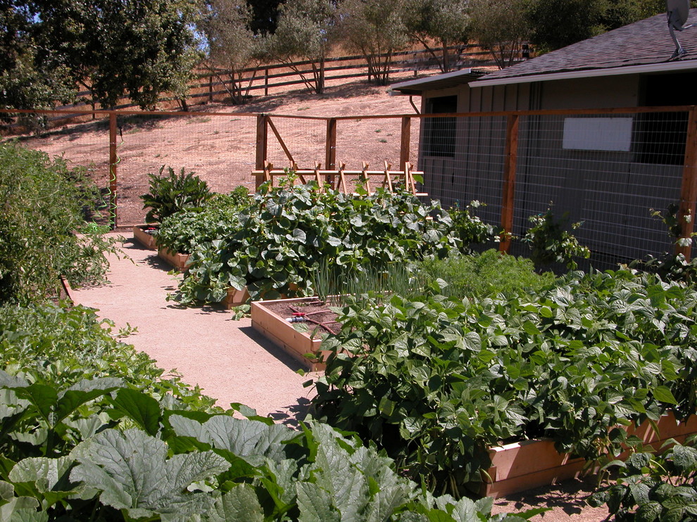Idee per un orto in giardino contemporaneo esposto in pieno sole di medie dimensioni e dietro casa