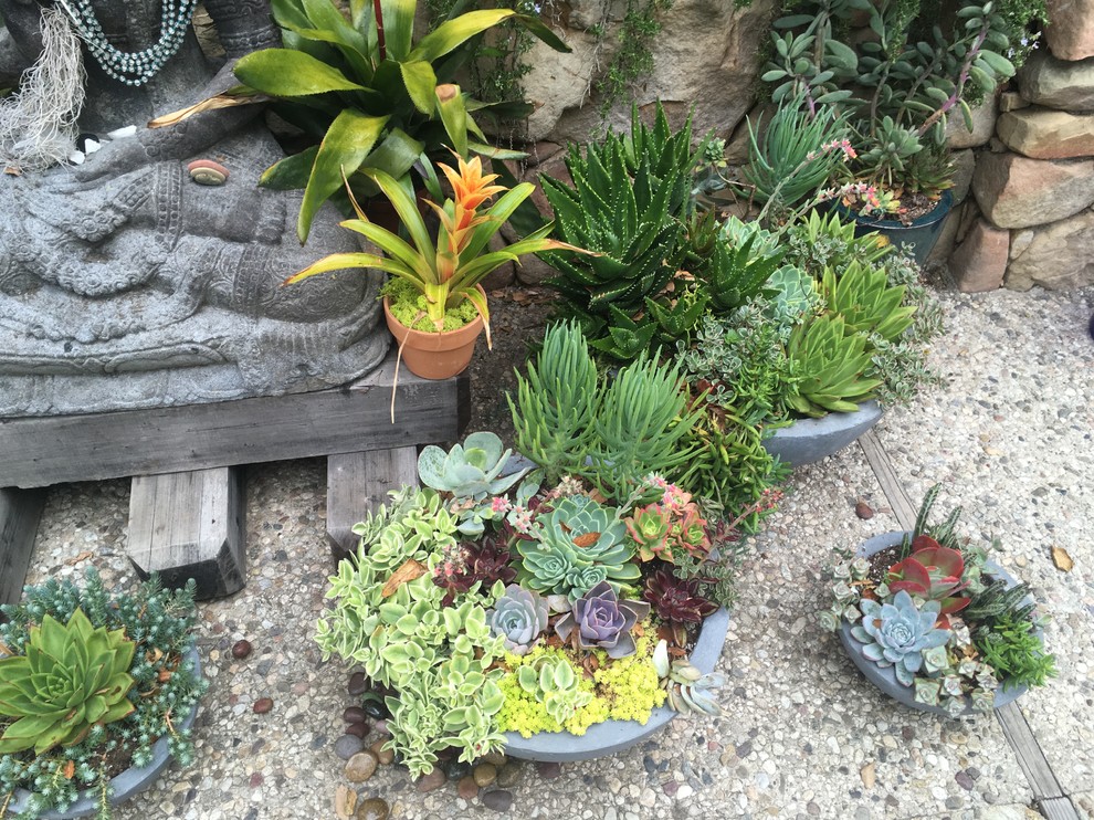 Modelo de jardín tropical de tamaño medio en verano en patio trasero con jardín francés, jardín de macetas, exposición parcial al sol y adoquines de piedra natural