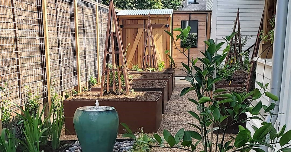 Mittelgroßer Garten hinter dem Haus mit direkter Sonneneinstrahlung in Houston
