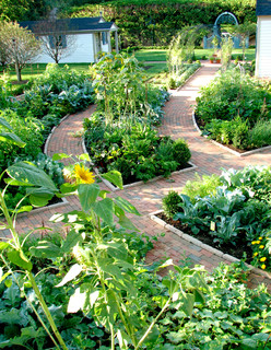Лучшие идеи (87) доски «Огород» | огород, садовые грядки, декоративный огород