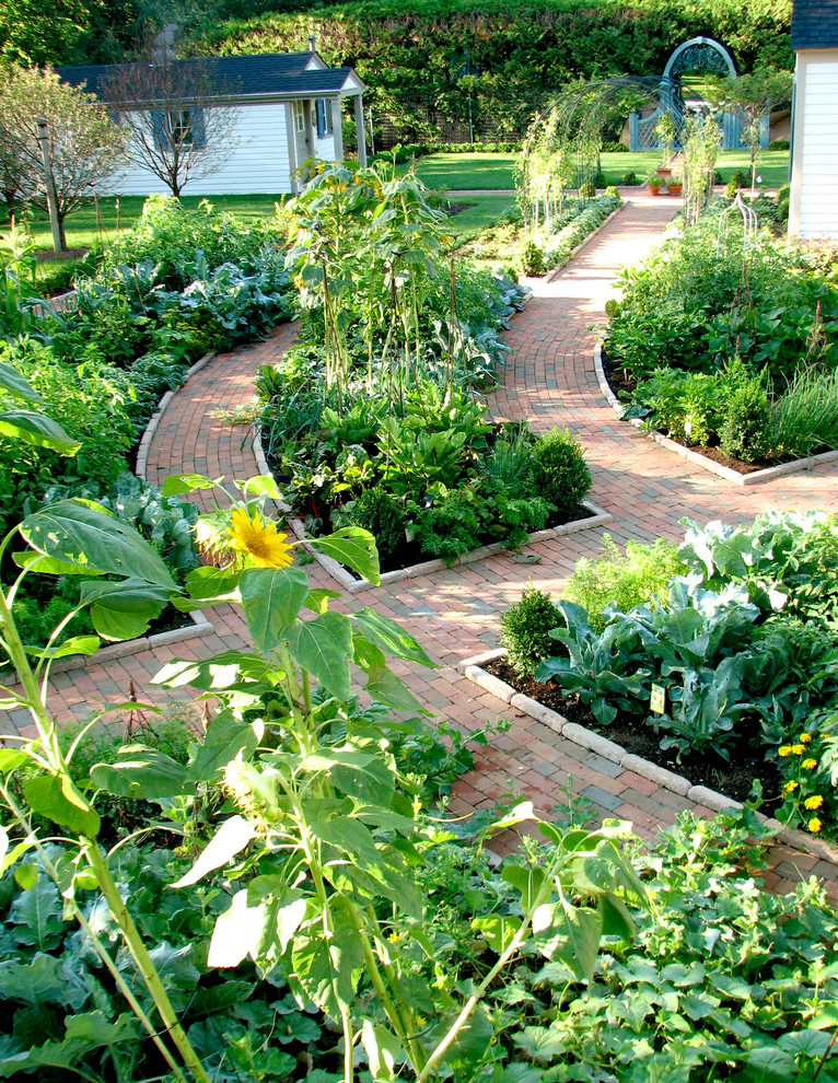 Photo of a traditional vegetable garden landscape in Chicago.
