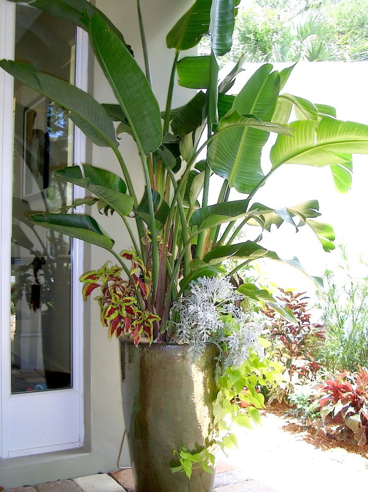 Pots Tropical Landscape Miami by Details Garden Design Houzz