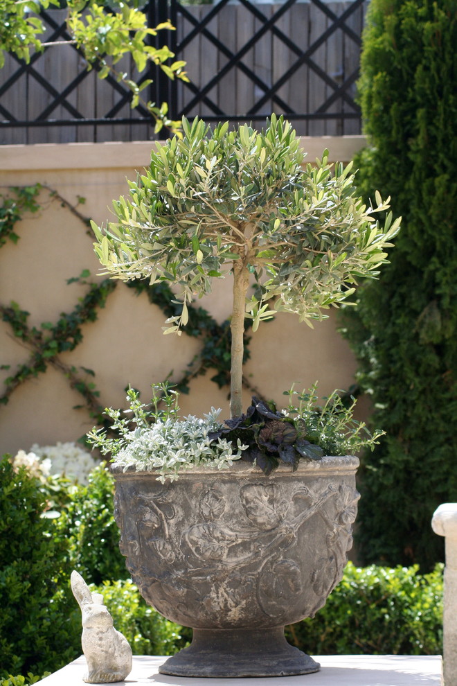Cette photo montre un petit jardin en pots arrière chic avec une exposition ensoleillée et des pavés en pierre naturelle.