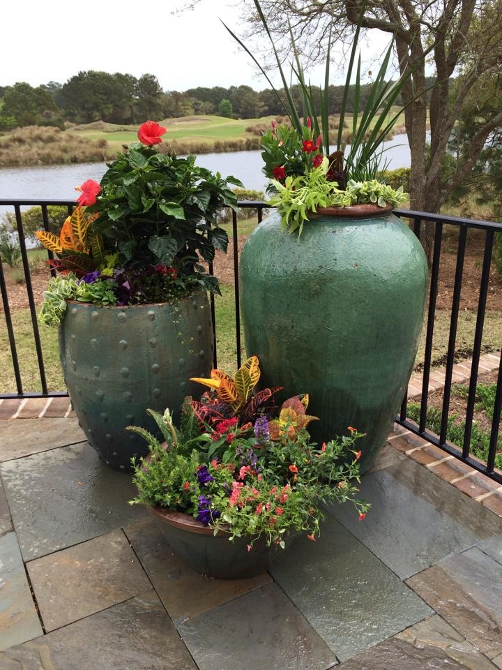 Potted Plants & Flower Beds Landscape Charleston by Bella Blooms