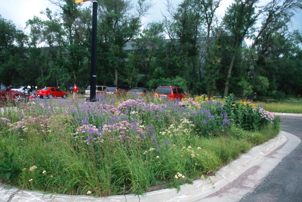Prairie Gardens - Rustic - Landscape - Minneapolis - by Prairie