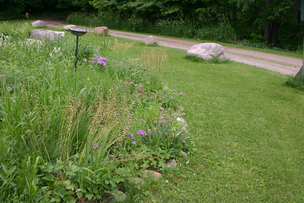 На фото: летний засухоустойчивый сад среднего размера на переднем дворе в стиле рустика с полуденной тенью