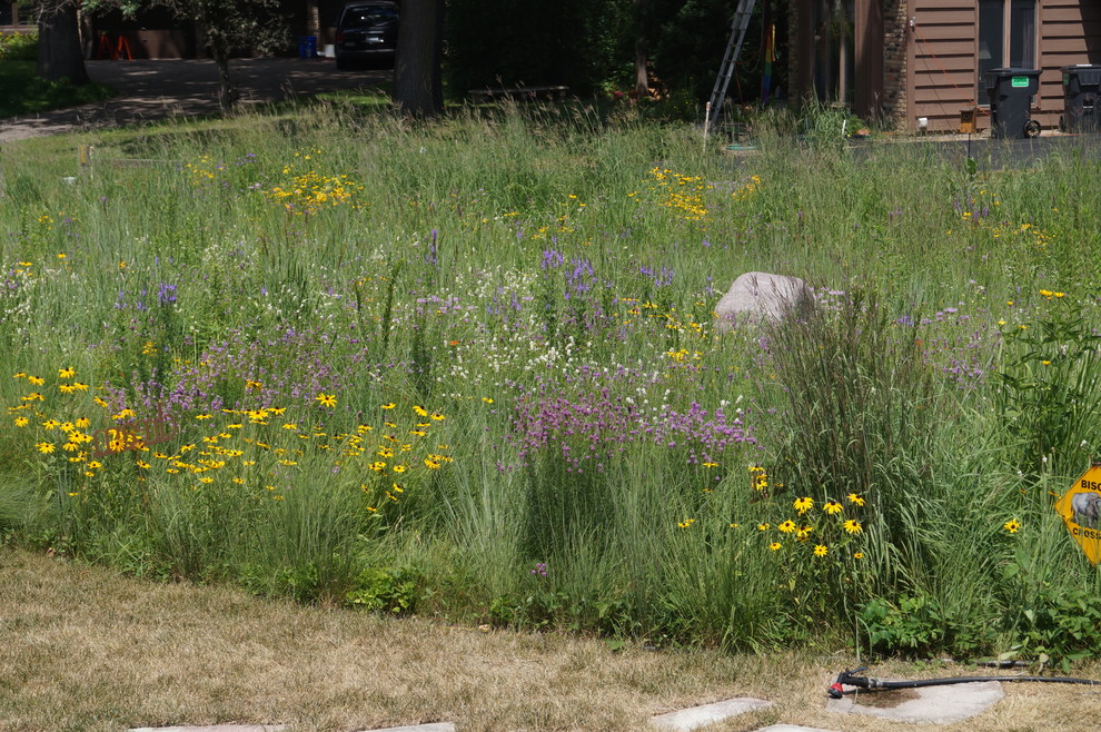 Стильный дизайн: летний засухоустойчивый сад среднего размера на переднем дворе в стиле рустика с полуденной тенью - последний тренд