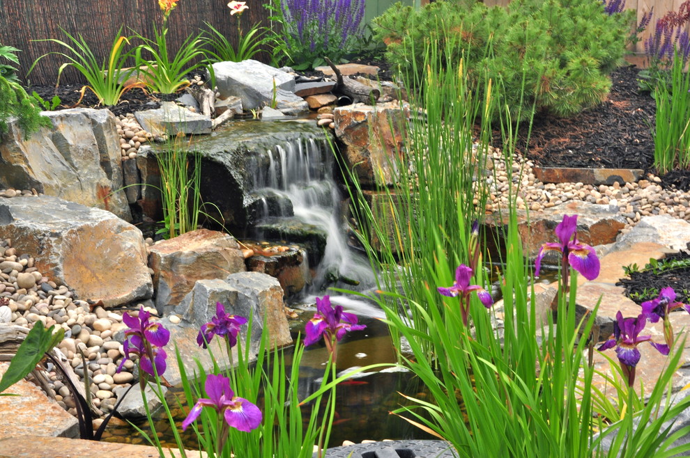 Стильный дизайн: солнечный сад с прудом среднего размера на заднем дворе в классическом стиле с хорошей освещенностью и покрытием из каменной брусчатки - последний тренд