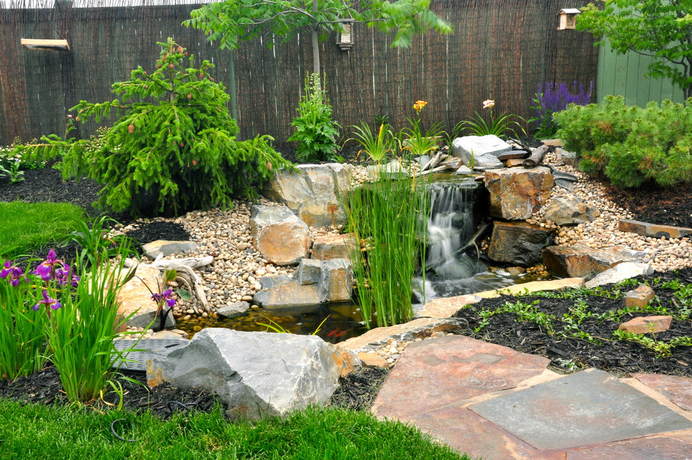 Стильный дизайн: солнечный сад с прудом среднего размера на заднем дворе в классическом стиле с хорошей освещенностью и покрытием из каменной брусчатки - последний тренд