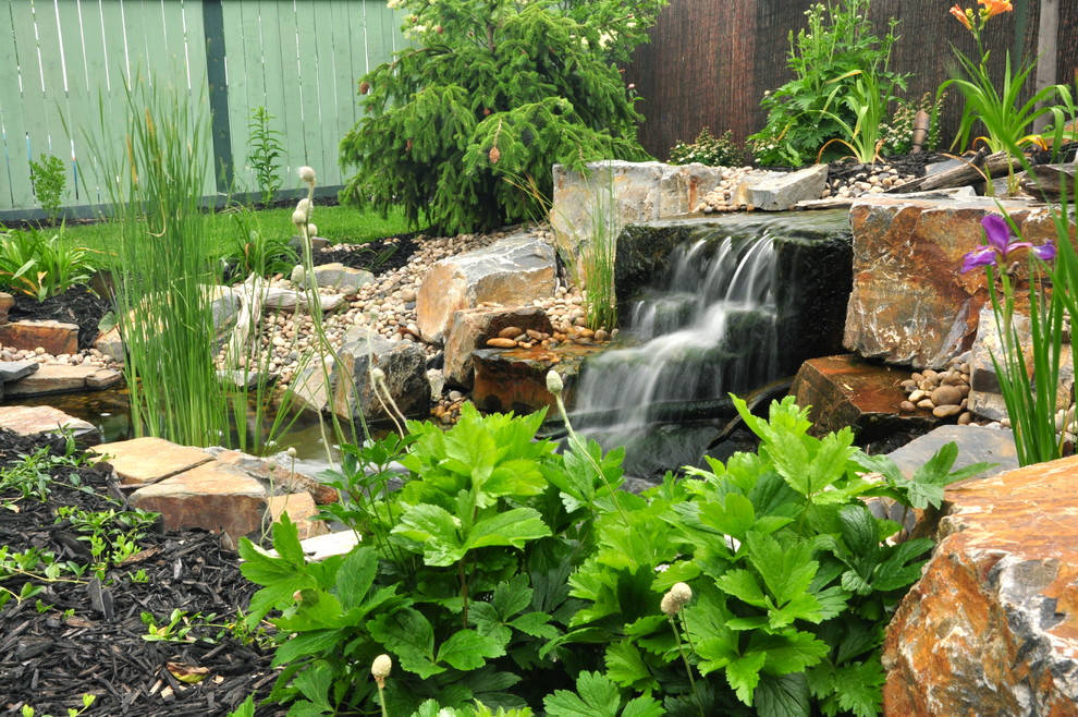Imagen de jardín tradicional de tamaño medio en patio trasero con estanque, exposición total al sol y adoquines de piedra natural