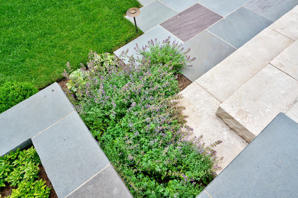 Inspiration for a medium sized contemporary front formal full sun garden for summer in Chicago with a garden path and natural stone paving.