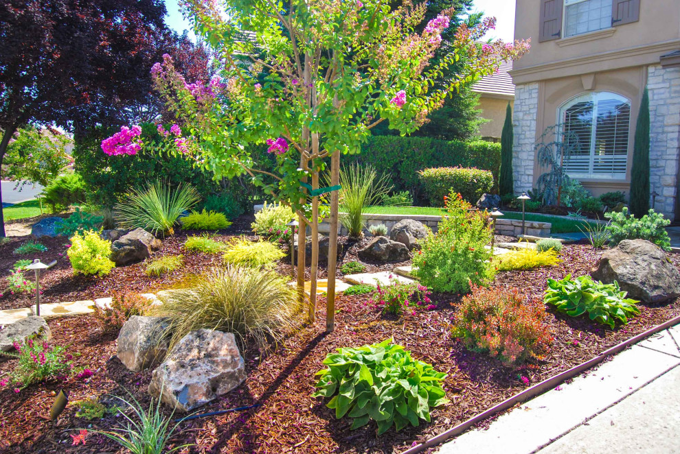 Premier Landscape Design Contemporary Landscape Sacramento by