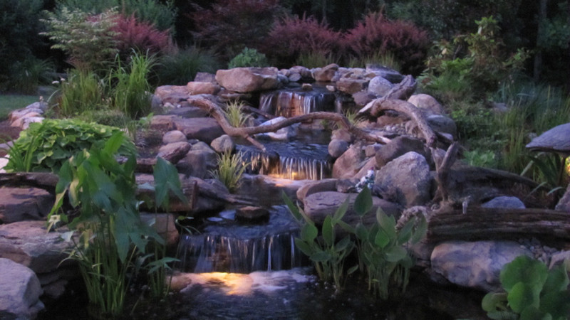 This is an example of an eclectic landscaping in Baltimore.