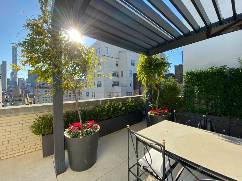 Ispirazione per un ampio giardino formale minimalista esposto in pieno sole sul tetto con un giardino in vaso, pavimentazioni in pietra naturale e recinzione in metallo