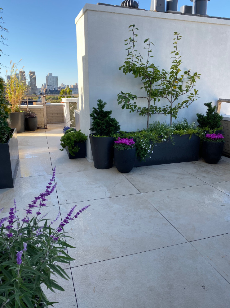 Geometrischer, Geräumiger Moderner Dachgarten mit Kübelpflanzen, direkter Sonneneinstrahlung, Natursteinplatten und Metallzaun in New York