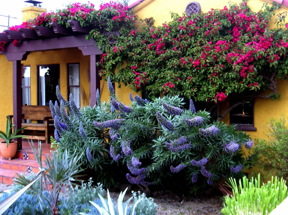Inspiration for a mediterranean full sun front yard landscaping in Los Angeles.