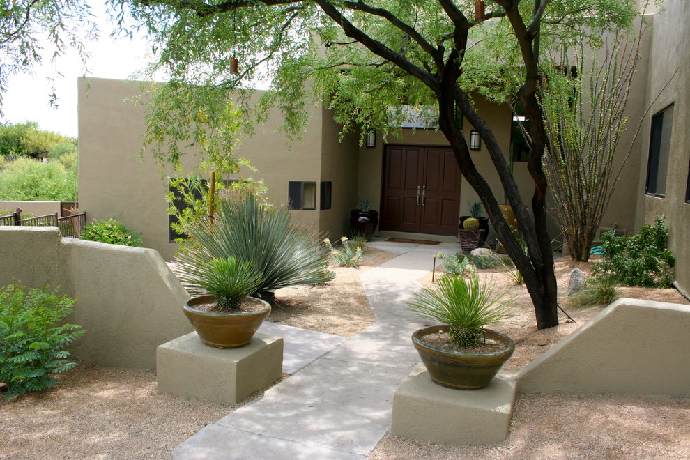 Design ideas for a southwestern landscaping in Phoenix.