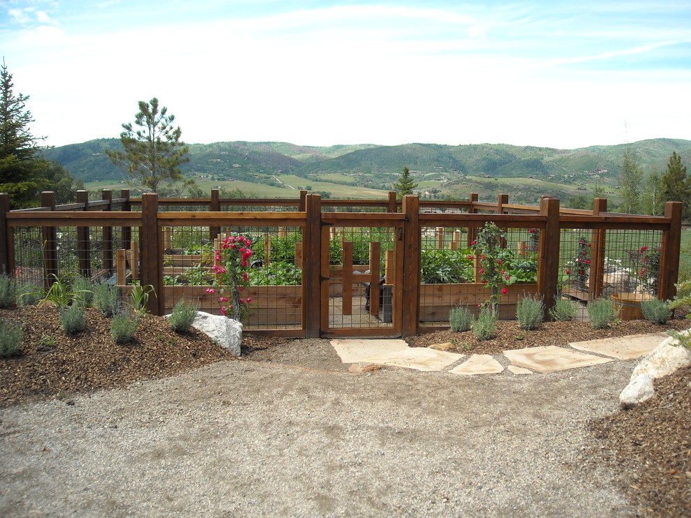 Photo of a traditional vegetable garden landscape in Denver.