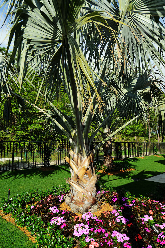 Photo of a contemporary landscaping in Miami.