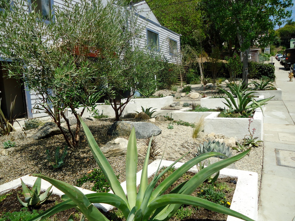 Photo of a large tropical drought-tolerant and partial sun backyard gravel landscaping in Los Angeles.