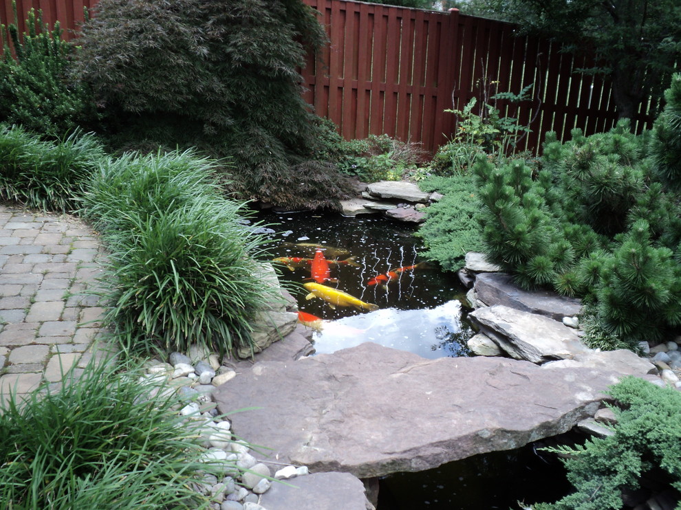 This is an example of a mid-sized asian partial sun backyard stone water fountain landscape in DC Metro.
