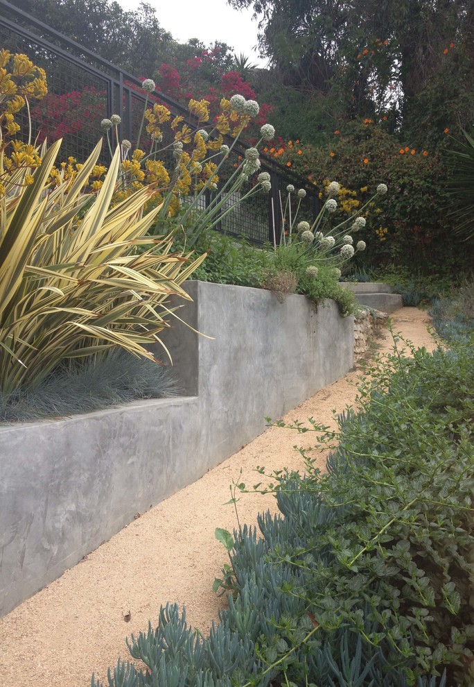 Großer Moderner Gartenweg im Sommer, hinter dem Haus mit direkter Sonneneinstrahlung und Betonboden in Los Angeles